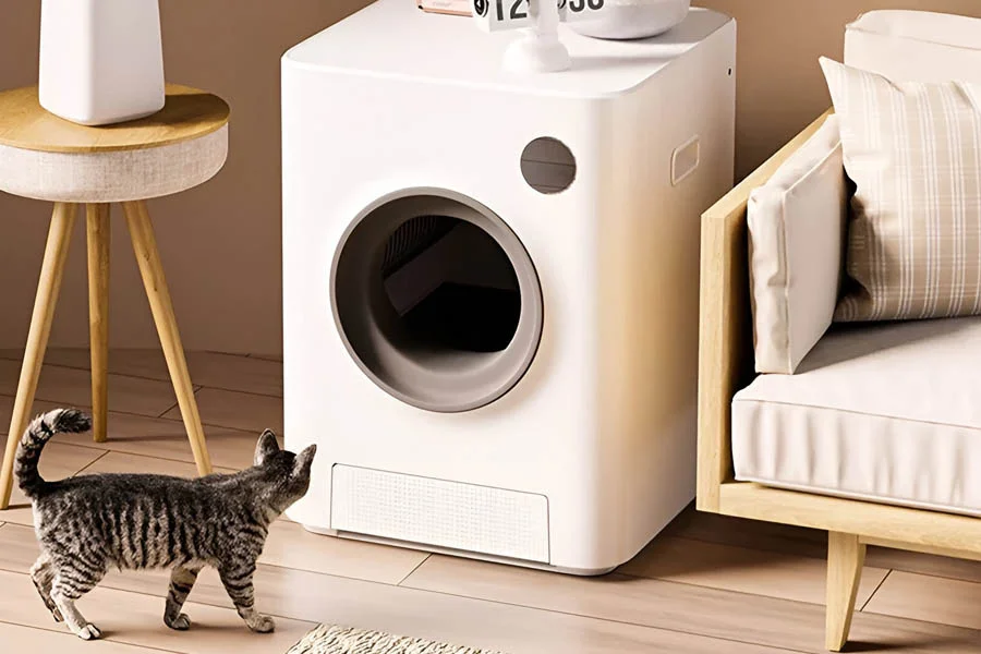 cat sandbox