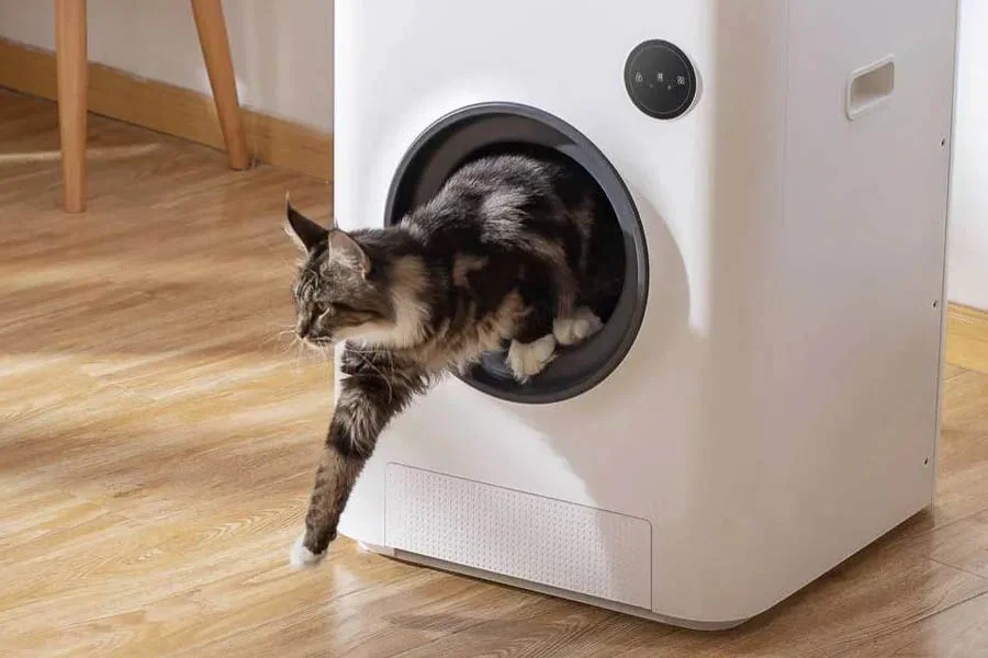 electronic cat box